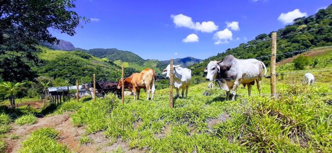 Fazendinha Paraiso Lumiar Bagian luar foto