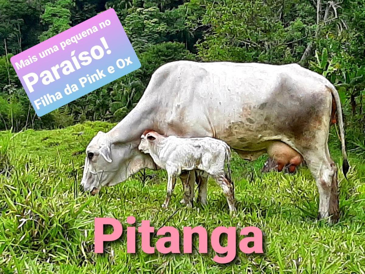 Fazendinha Paraiso Lumiar Bagian luar foto