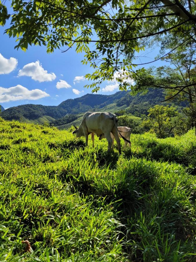 Fazendinha Paraiso Lumiar Bagian luar foto
